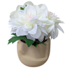 Un-Real 22cm Artificial Flowers in Brown Textured Pot