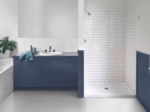 A bathroom with shower and base coloured blue