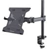 Startech.com Laptop Desk Mount, Monitor And Laptop Arm Mount, Displays Up To 34" (17.6lb/8kg)