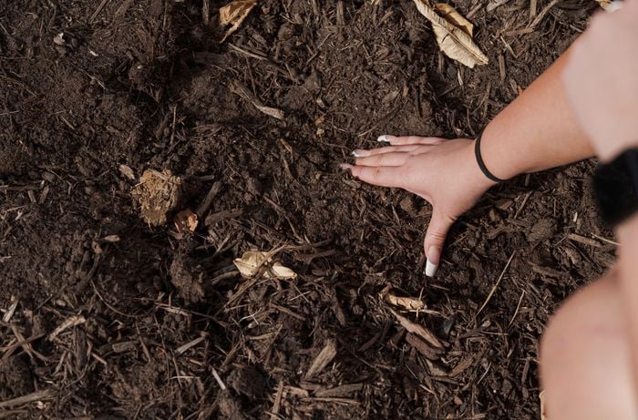 A person touching the soil.