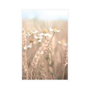home+wares 60x90cm Framed Art Flower Field