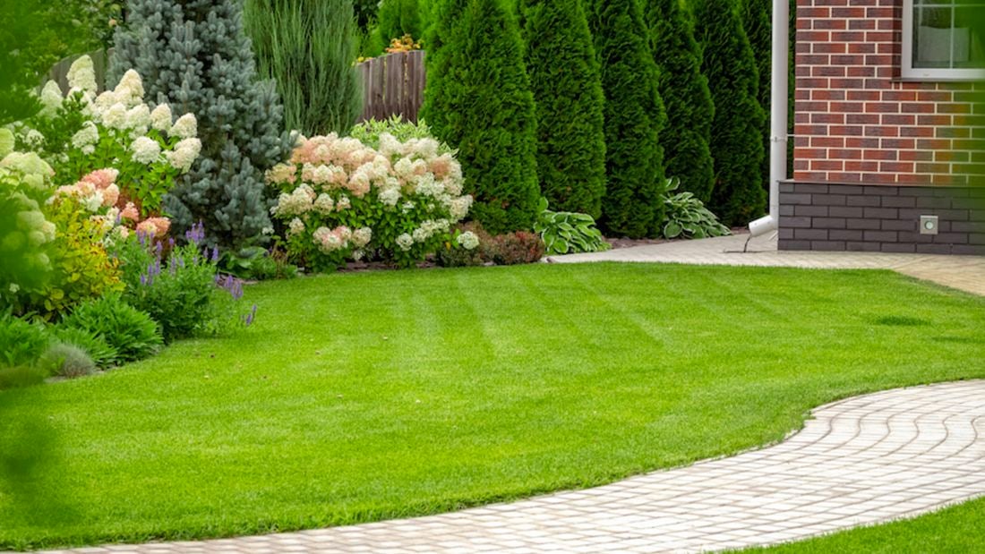wide image of a green lawn