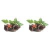 2PK Dudley's World Of Pets Stump w/ Leaves Aquarium Decoration