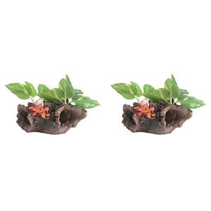 2PK Dudley's World Of Pets Stump w/ Leaves Aquarium Decoration