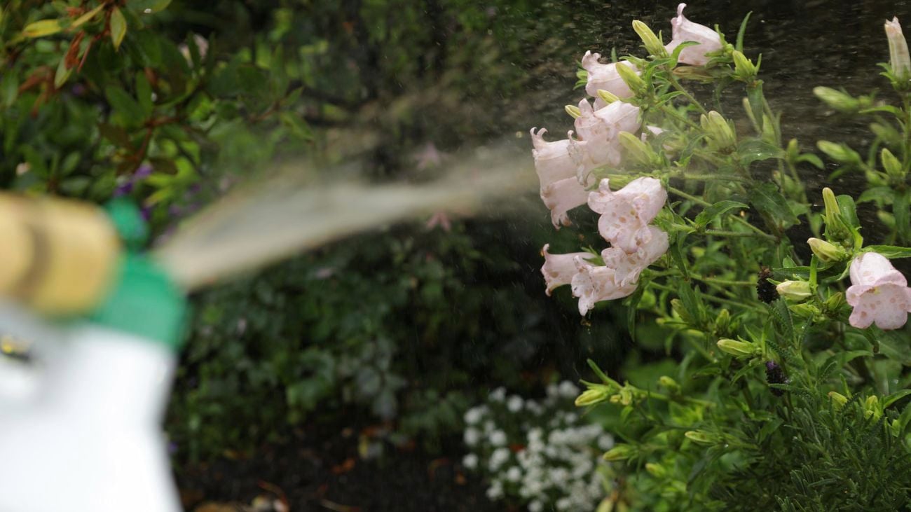 A person watering a garden with liquid fertiliser.