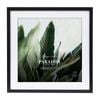 Cooper & Co. 50x50cm Mat to 40x40cm Premium Paradise Wooden Photo Frame Black