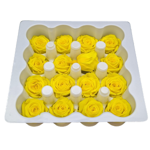 Blooms of Joy 2.5cm Yellow Spray Roses 16 Pack