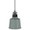 Roband Pendant Heat Lamp - Fixed - 200 Series Sage - PF20SG
