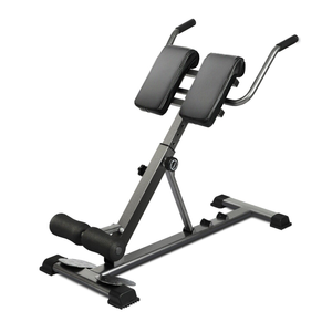 Weight Bench Back Roman Chair 180kg Weight Capacity