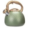 Catzon Stovetops Kettle 2.7L 304 Stainless Steel with Anti-hot Handle