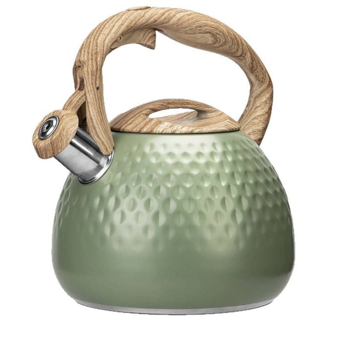 Catzon Stovetops Kettle 2.7L 304 Stainless Steel with Anti-hot Handle