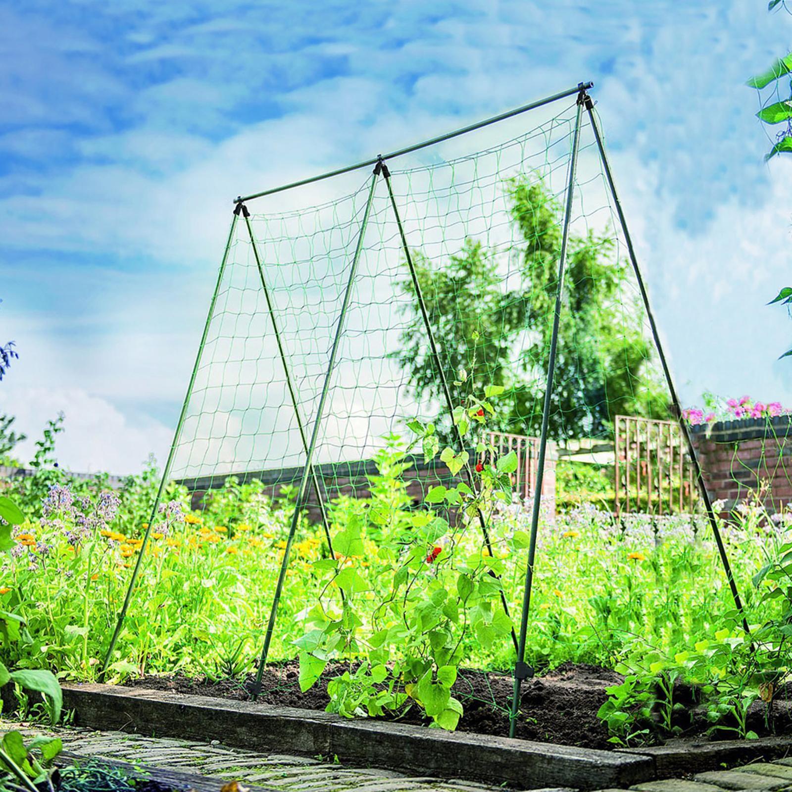 Jack Pea And Bean Frame Plant Support Bunnings Australia