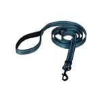 Dog Leashes & Leads
