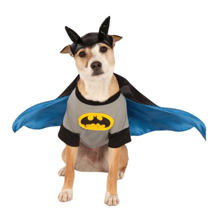 Dc Comics Batman Deluxe Pet Dress Up Character/Party Costume Size XL For Dogs
