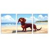 3pcs Adorable Dachshund Puppy on Beach Scene Print 100% Australian Made 3 x 40x60cm (Metal Print)