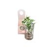 95mm Hydroponic Indoor Plant