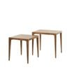 Academy Axel Side Table 2pcs Set Walnut 50x40x50cm/50x32x46cm