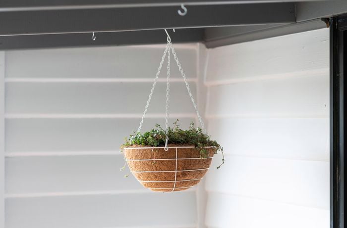 A basket containing a potted plant hanging from a patio roof