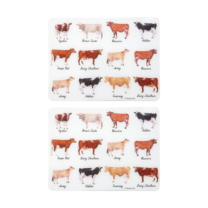 2x Ashdene Best In Breed Farm Surface Protector Placemat Dairy Cow Animal Art