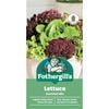 Fothergill's Gourmet Mixed Lettuce Container Seeds