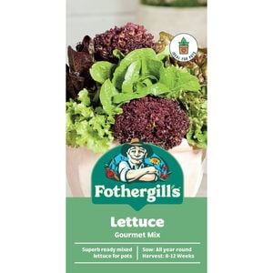 Fothergill's Gourmet Mixed Lettuce Container Seeds