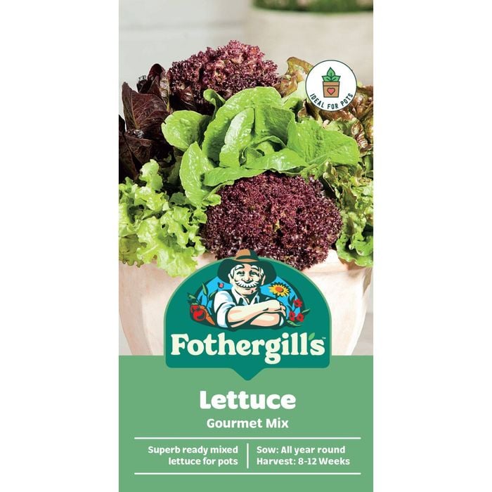 Fothergill's Gourmet Mixed Lettuce Container Seeds
