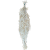 Blooms Of Joy 50-80cm White Amaranthus Flowers