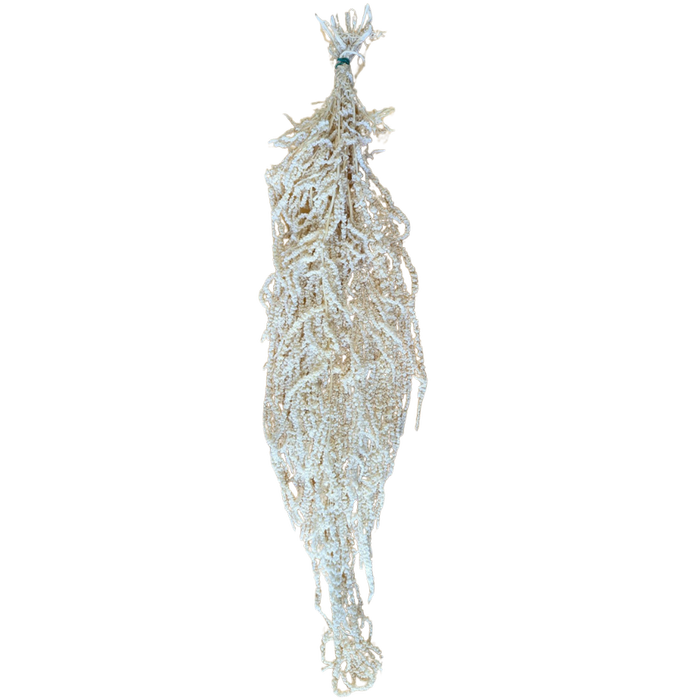 Blooms Of Joy 50-80cm White Amaranthus Flowers