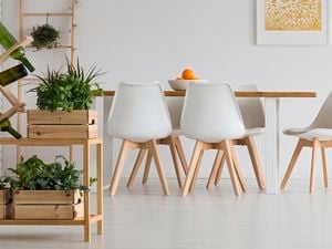 Dining table and chairs and a small table with plants on it 