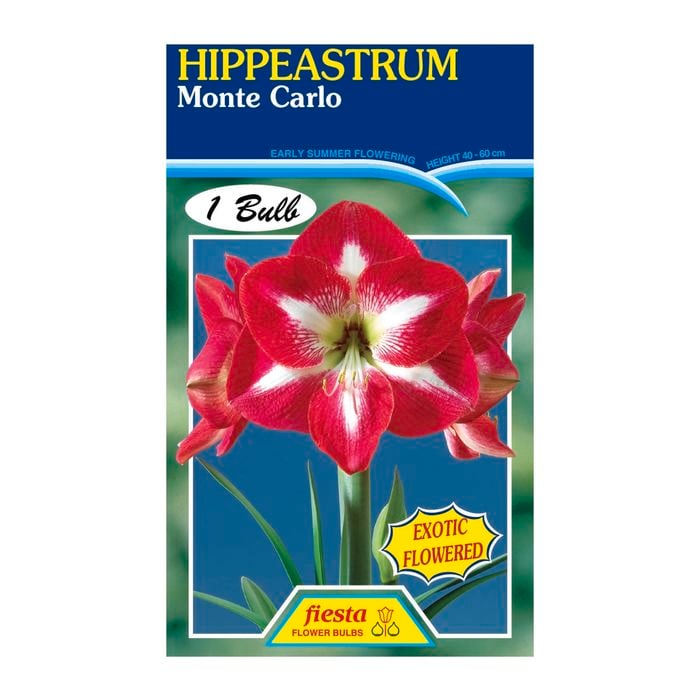 Fiesta Flower Bulbs Hippeastrum Monte Carlo