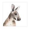 home+wares 76x76cm Framed Art Kangaroo