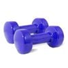 2pk Vinyl Dipped Weighted Dumbbell 4kg Home Gym Workout Set