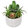Un-Real 15cm Artificial Succulents in Textured Pot