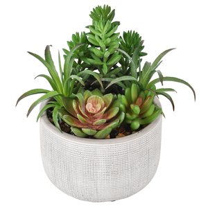 Un-Real 15cm Artificial Succulents in Textured Pot