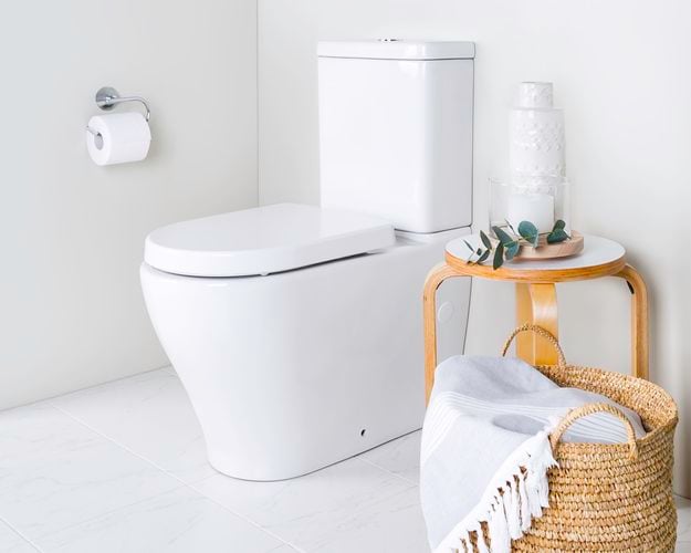 luna cleanflush toilet