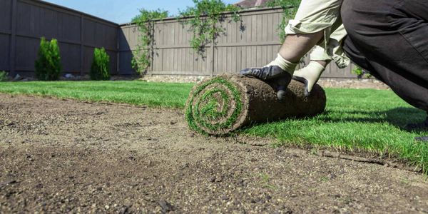  close-up image showing two gloved hands of a person, crouching rolling out and preparing turf to be laid on dirt on a sunny day