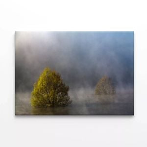 Fog during Autumn Floods  Print 100% Australian Made 90 x 60cm  (Stretched)
