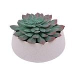 UN-REAL 12cm Sandy D/Rose Succulent Artificial Plant