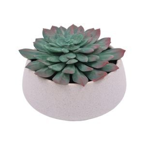 UN-REAL 12cm Sandy D/Rose Succulent Artificial Plant