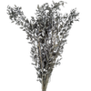 Blooms of Joy 60cm Grey Ruscus 10 Pack Preserved