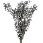 Blooms of Joy 60cm Grey Ruscus 10 Pack Preserved