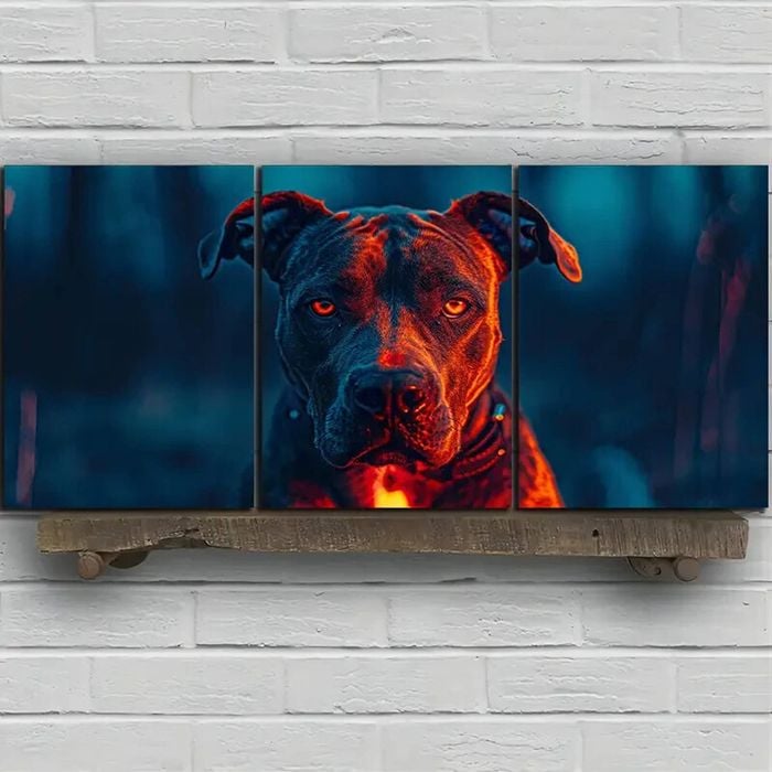 3pcs Intense Gaze Dog Stunning Gold Eyes Print 100% Australian Made 3 x 40x60cm (Metal Print)