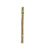 Brunnings 90cm Natural Bamboo Garden Stakes - 20 Pack