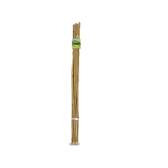 Brunnings 90cm Natural Bamboo Garden Stakes - 20 Pack
