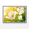 Flowers Close-Up View In Garden  Print 100% Australian Made 90x60cm  (Poster)