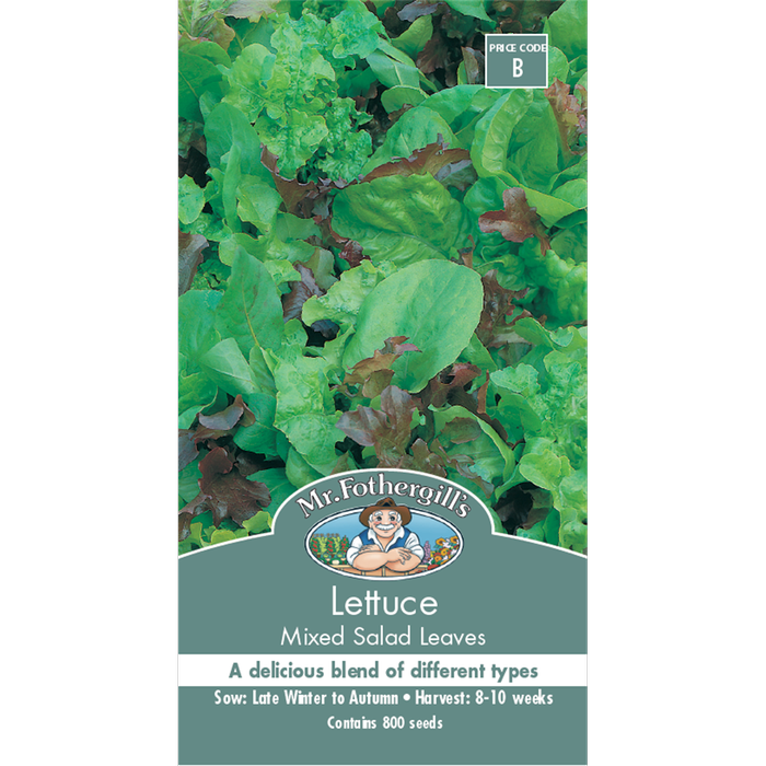 Mr Fothergill's Lettuce Mixed Salad Leaves Vegetable Seeds