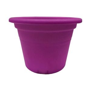 Eden 15cm Transparent Purple Cylinder Planter