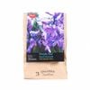 Yarra Valley Bulbs Hyacinth Purple Star - 3 Pack