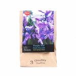 Yarra Valley Bulbs Hyacinth Purple Star - 3 Pack