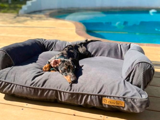 Our Ripley dog bed is the  favourite of sausage dogs! I/N: 0458773